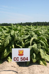 CC504