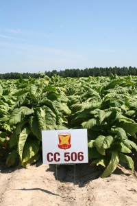 CC506